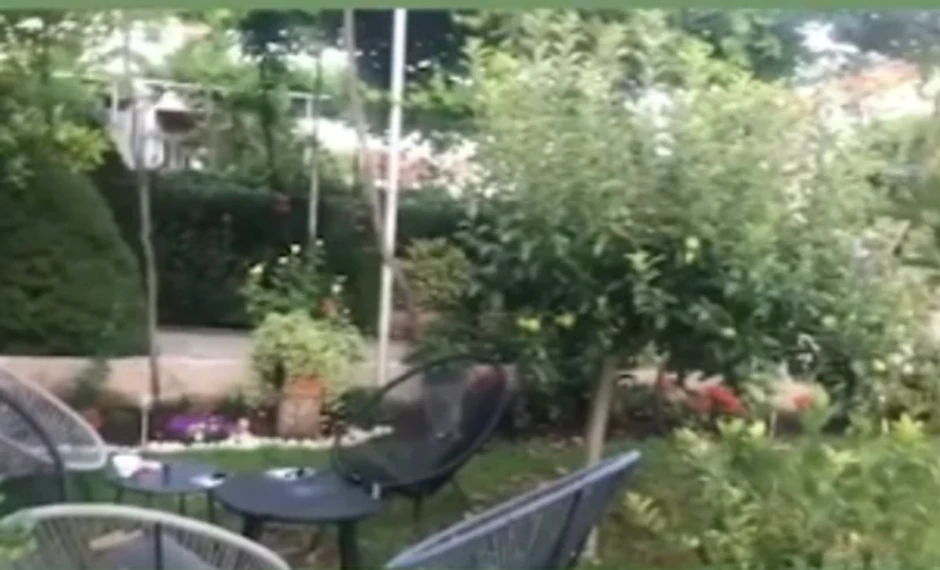 Nataša Ninković imanje