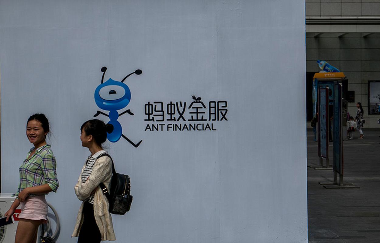 Logo Ant Financial z niebieską mrówką