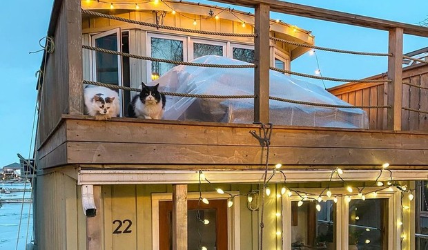 Kućica budućnosti za 50.000 evra/Ilustracija