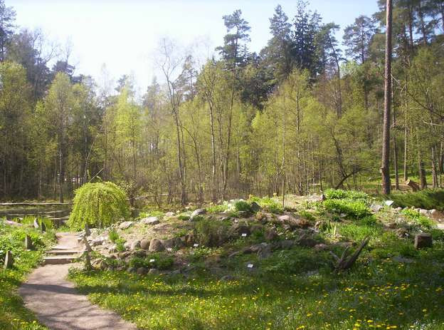 Ogródek skalny w arboretum w Kudypach