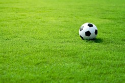 El. ME 2020: Martin Reim zrezygnował po rekordowej porażce z Niemcami