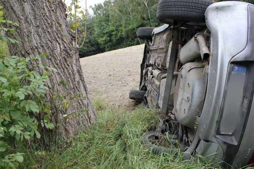 Wyrżnął oplem w drzewo. Nic mu się nie stało!