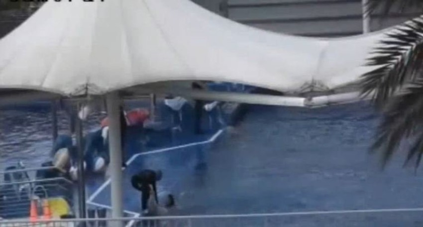 Akva park „Marineland“ u Majorci.