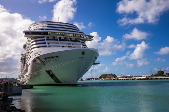 TORTA OD SKAKAVACA, 17.000 OBROKA DNEVNO I 30.000 KAFI Zoran iz Kikinde 10 godina radio je na kruzeru, strancima je spremao srpska jela, a OVO je sve oborilo s nogu