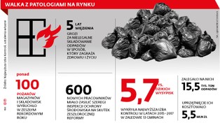 Ekopolicja zwiera szyki przeciw mafii śmieciowej. Służby wykrywają coraz więcej dzikich wysypisk