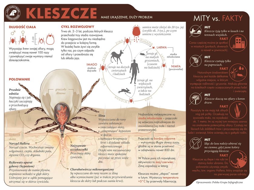 Kleszcze już atakują? Gdzie jest ich najwięcej?