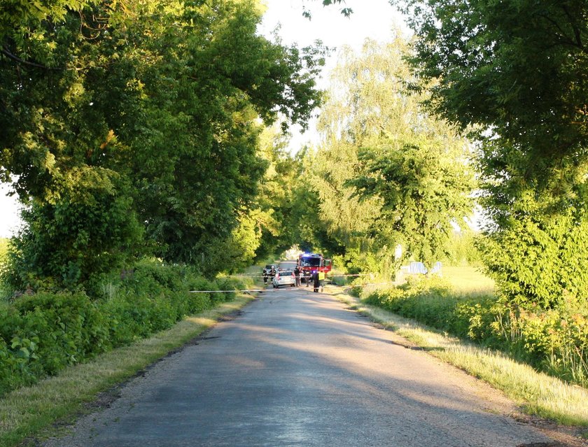 Auto roztrzaskało się o drzewo. Kierowca jechał za szybko?