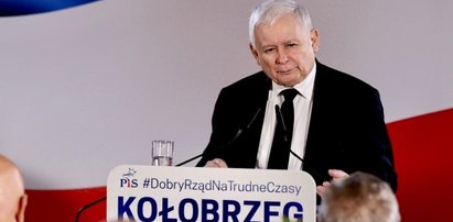 Już wiadomo, skąd Kaczyński wziął historię o "znikających kartoflach dla dzików". To wiele tłumaczy...