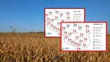 Radykalna zmiana w pogodzie? IMGW ostrzega [PROGNOZA DŁUGOTERMINOWA]