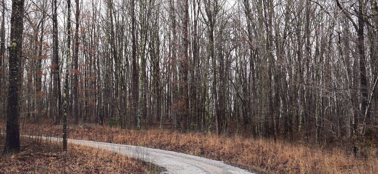 Leśnicy pokazali, co odkryli w lesie. Przykro się na to patrzy