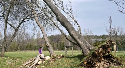 Huraganowy wiatr sieje spustoszenie w Tatrach i na Podhalu. Służby w całym regionie postawione na nogi