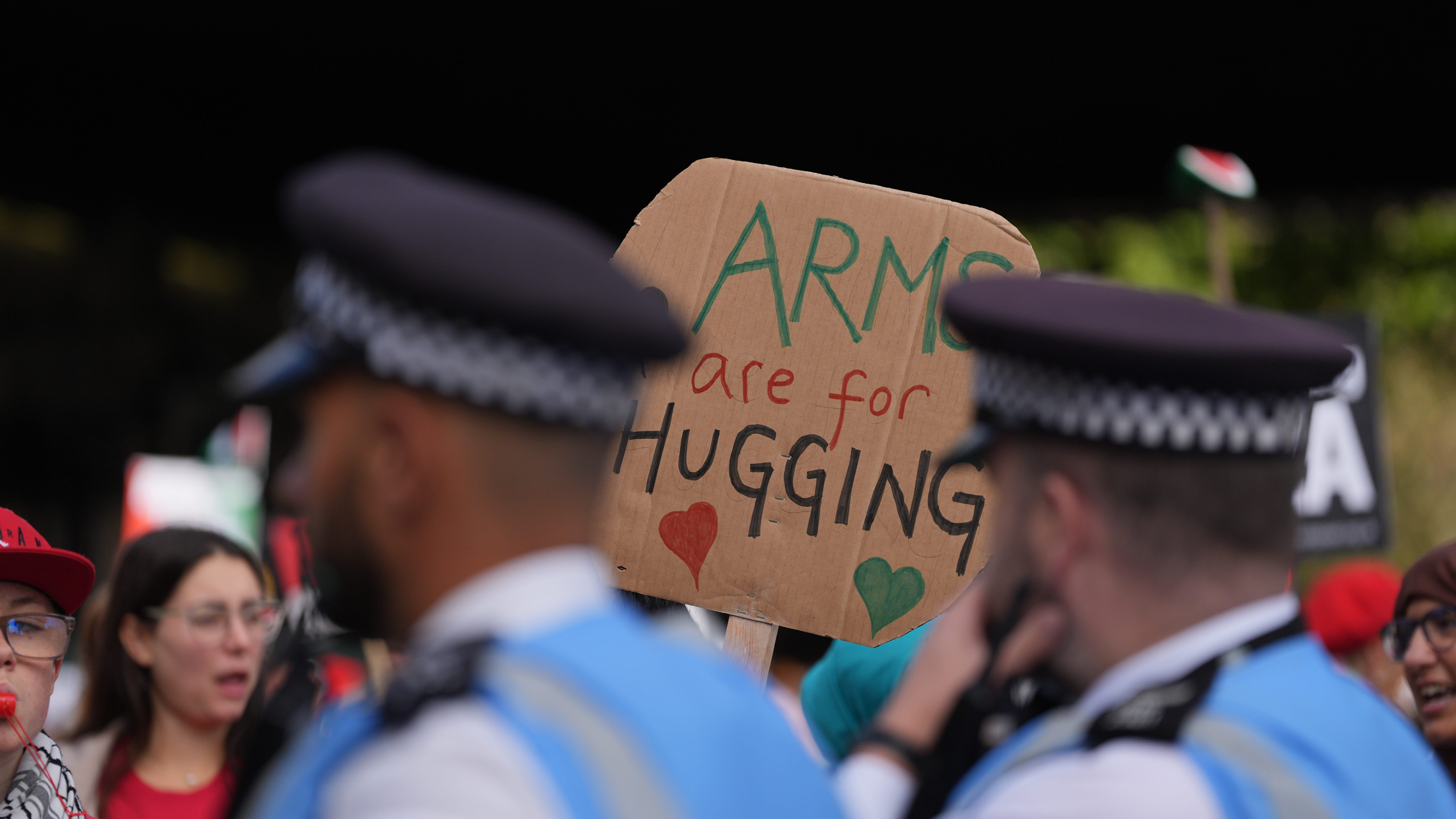Thousands march for Palestine despite Gaza ceasefire