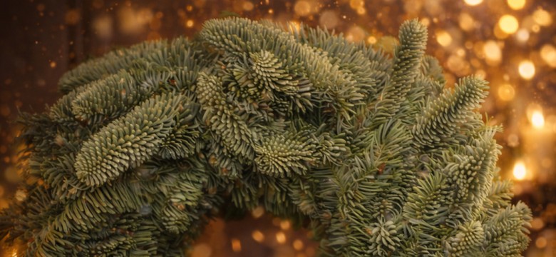 Piękne kartki świąteczne na Boże Narodzenie 2025 do pobrania online za darmo. Gotowe wzory e-kartek z życzeniami bożonarodzeniowymi