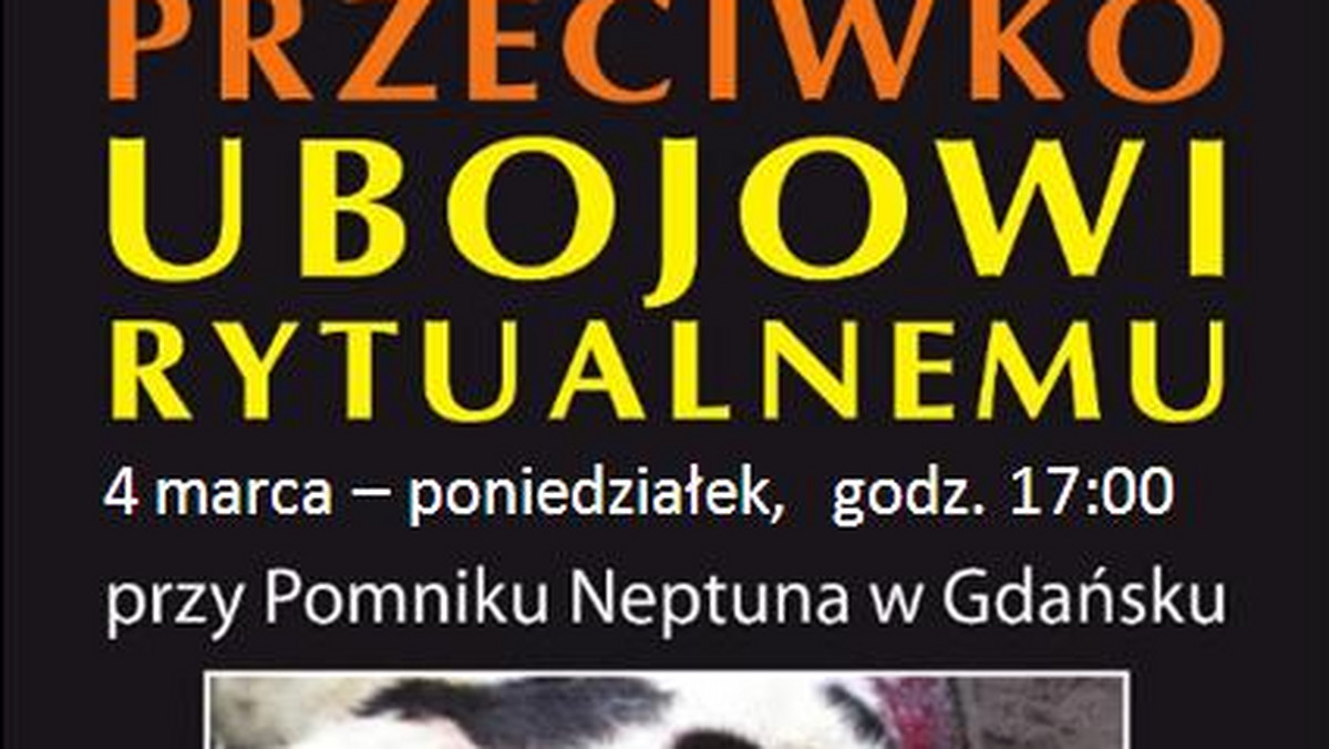 "W Polsce pomimo prawnego zakazu nadal dochodzi do uboju rytualnego", alarmują przedstawiciele organizacji ochrony zwierząt i nie zamierzają zostawiać tej sprawy samej sobie. W poniedziałek 4 marca o godz. 17 w sercu Gdańska zorganizują dużą demonstrację.