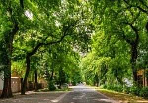 Ulica generala Drapšina u Kikindi