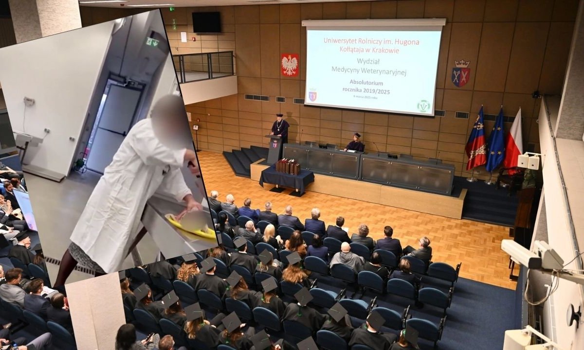 Nagrał wykładowczynię i musi powtarzać rok. Za wycieraczką znalazł kartkę