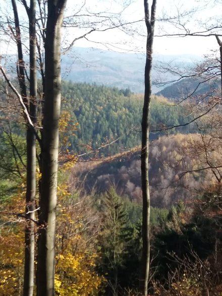 Widok ze szlaku na Borową