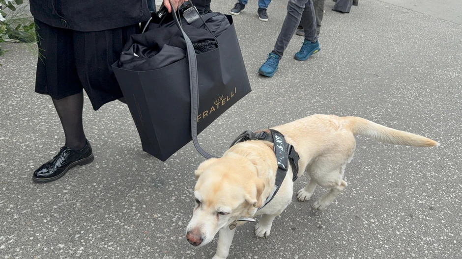 Sahrana Duška Vujoševića