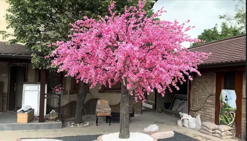 Žive u vili sa bazenom: Evo u kakvom bogatstvu se kupaju Aleksandra Subotić i Peca