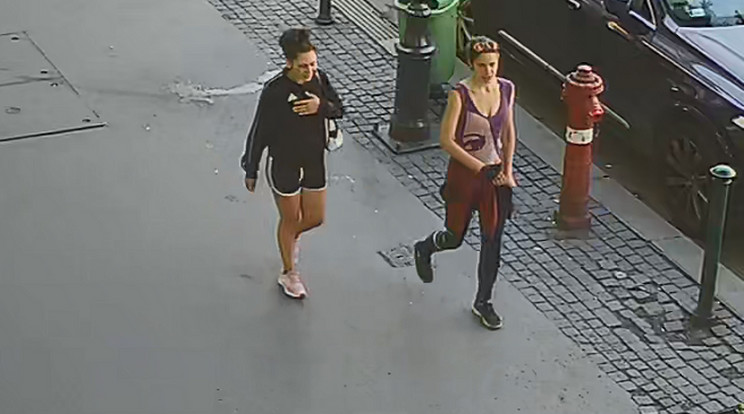 Felvétel készült a két feltételezett elkövetőről, akik táskát loptak Budapesten a VI. kerületben. /Fotó: police.hu