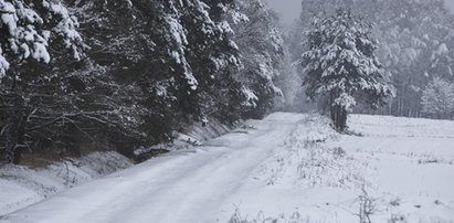 Zamiecie, śnieg, mróz, silny wiatr. Prognoza od IMGW dla wszystkich regionów