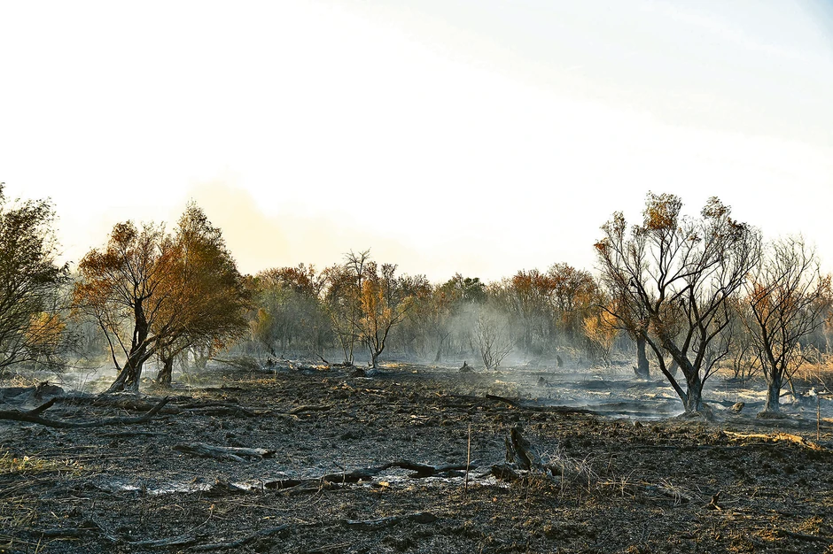 CARSKA BARA: Park prirode opustošen u požaru
