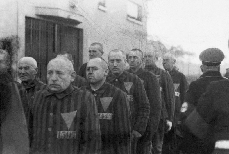 Więźniowie obozu koncentracyjnego Sachsenhausen (bez W). Wśród nich byli więźniowie z różowym trójkątem prześladowani z powodu homoseksualności