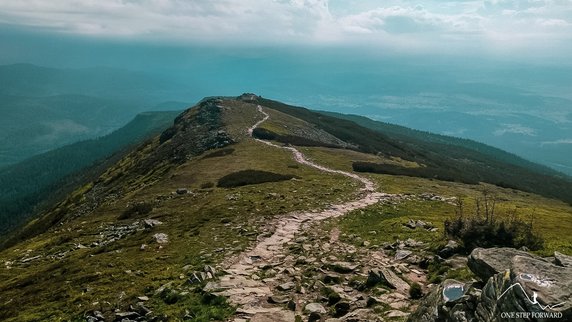 Wschodni grzbiet Babiej Góry przechodzący przez Gówniak, Kępę i Sokolicę