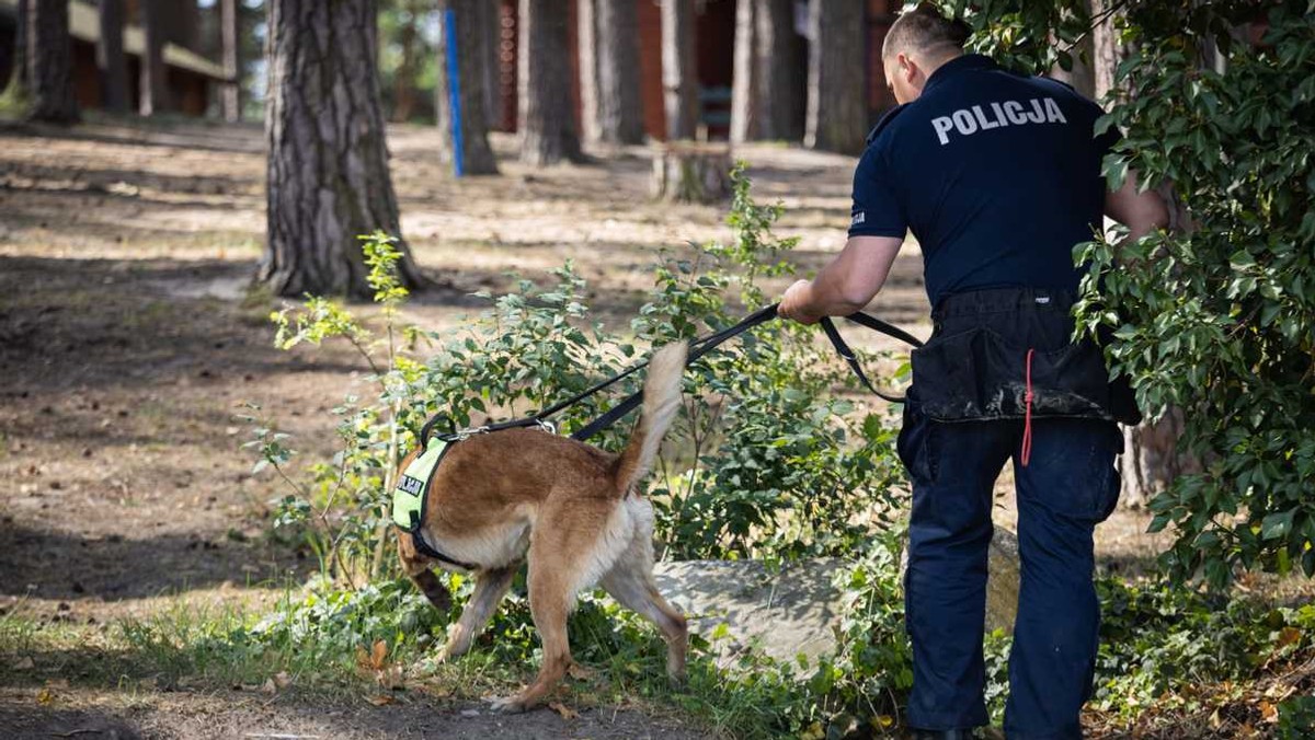 Na tropie materiałów wybuchowych i narkotyków. Rzeszowscy mundurowi w akcji