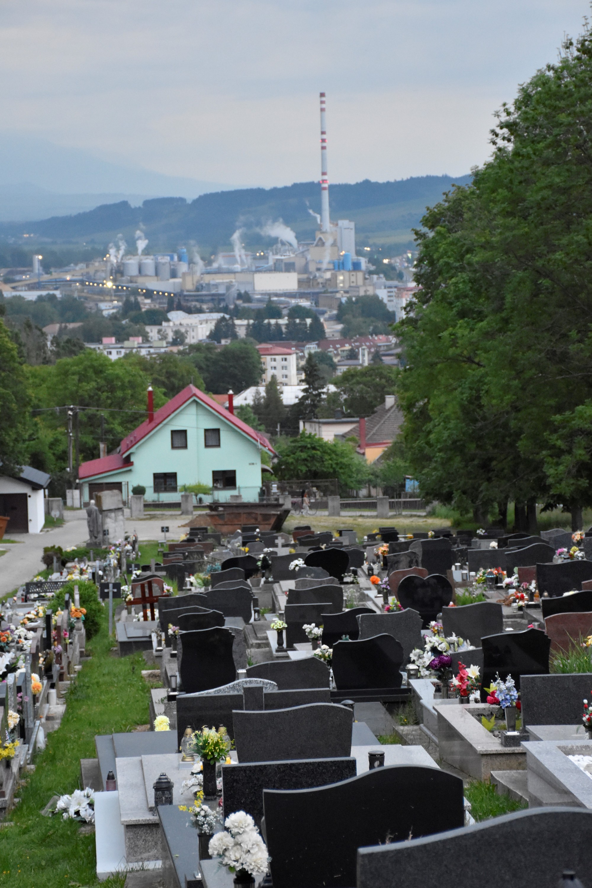 Pohyb najmenej štyroch medveďov zaevidoval v týchto dňoch zásahový tím Štátnej ochrany prírody (ŠOP) v areáli mestského cintorína v Ružomberku.