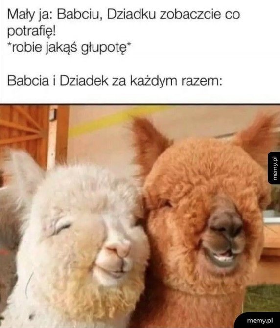 Najlepsze memy o babci i dziadku z okazji ich święta