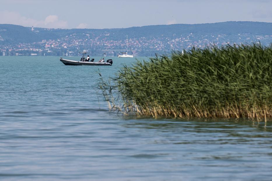 Napi egy centit apad a Balaton / Fotó: Zolnai Péter