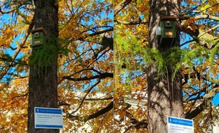 Budżet obywatelski zmienia krakowskie szkoły. Warto podejmować te decyzje