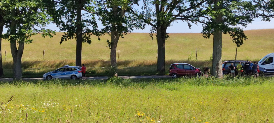 Kolizja w pobliżu Zarańska