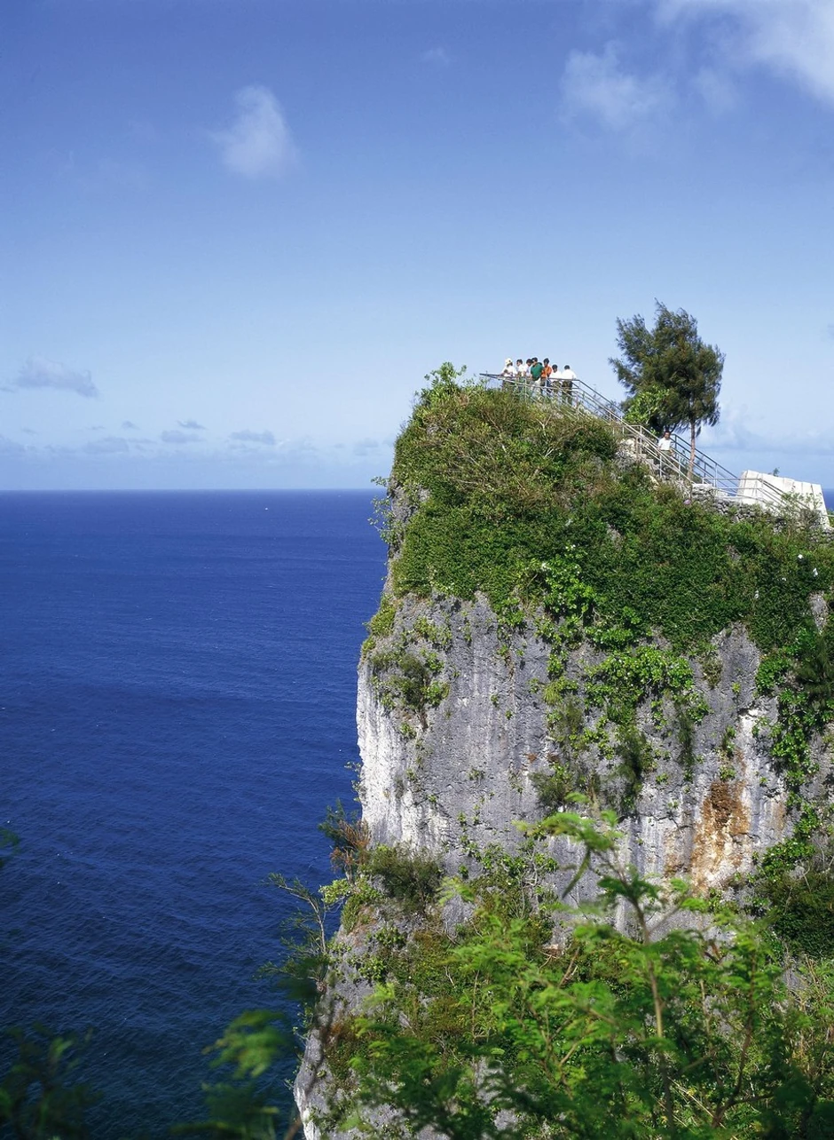 Vojnici su bacali burad sa herbicidima preko litica Guama u vodu