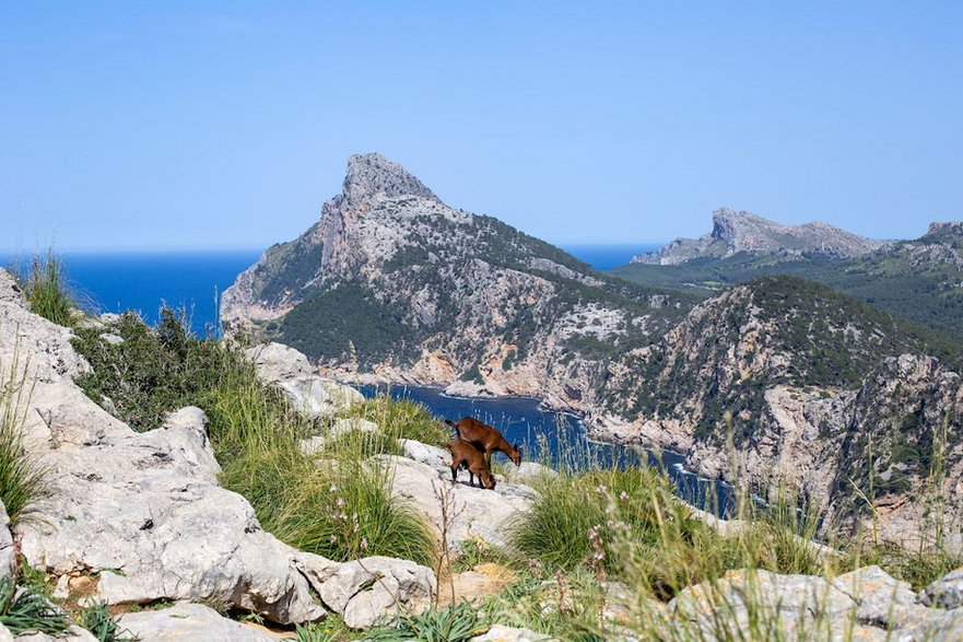 Mirador des Colomer