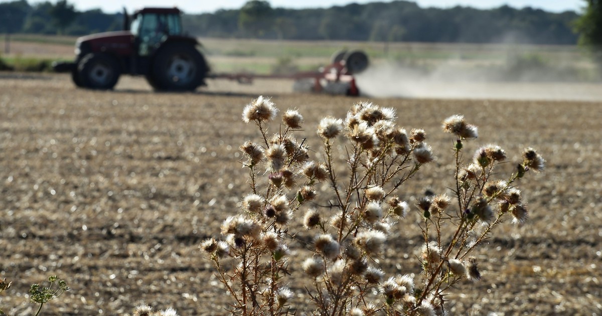 Szokujące praktyki wobec polskich rolników. UOKiK nie ma litości dla gigantów