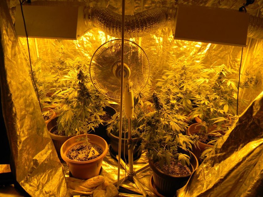 Sansije sa narkoticima u stanu Novosađanina