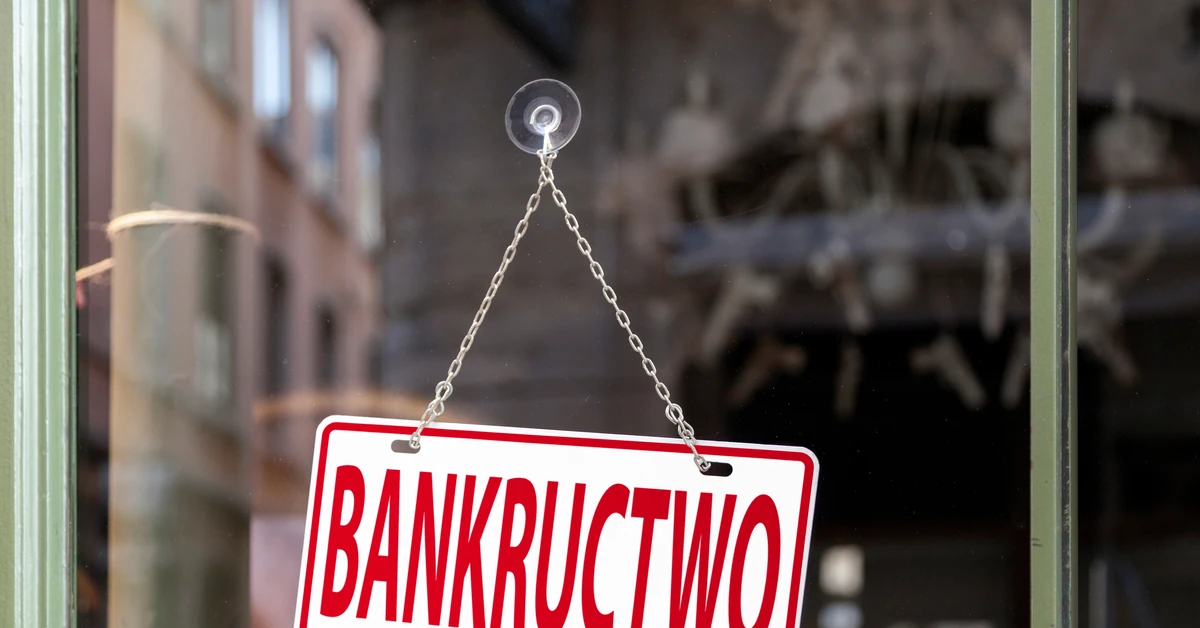 Znane biuro podróży ogłosiło upadłość. Teraz wyprzedaje majątek. Kempingi, baseny, a choćby leżaki