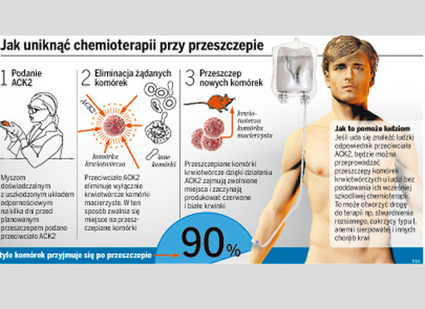 Leczenie białaczki bez chemioterapii?