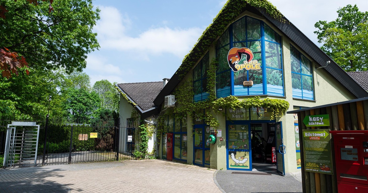 Makabra w zoo w Opolu. Znaleźli rozkładające się zwłoki zwierząt. Niektóre mają 10 lat