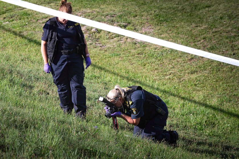 Tragiczna śmierć 12-latki. Zginęła, bo wyszła na spacer z psem