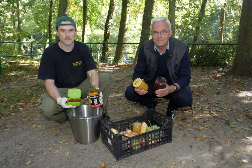 Słonica Katka na przeziębienie dostaje... herbatkę z prądem i domowe syropy z owoców