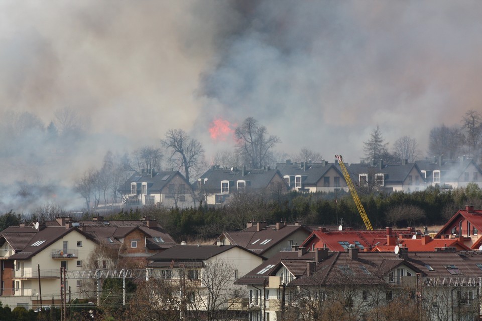 Pożar łąk w krakowskich Bronowicach, Fot. Dawid Hubrich/Daj znać!