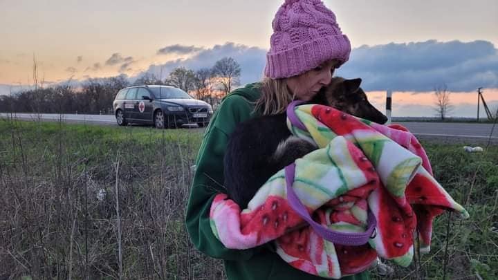 Monika jeździ w głąb Ukrainy. Ratuje nie tylko ludzi, ale też zwierzęta