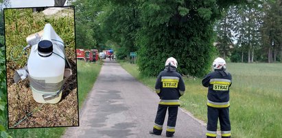 Właściciel warsztatu przeżył chwile grozy. Znalazł to przy swoim zakładzie