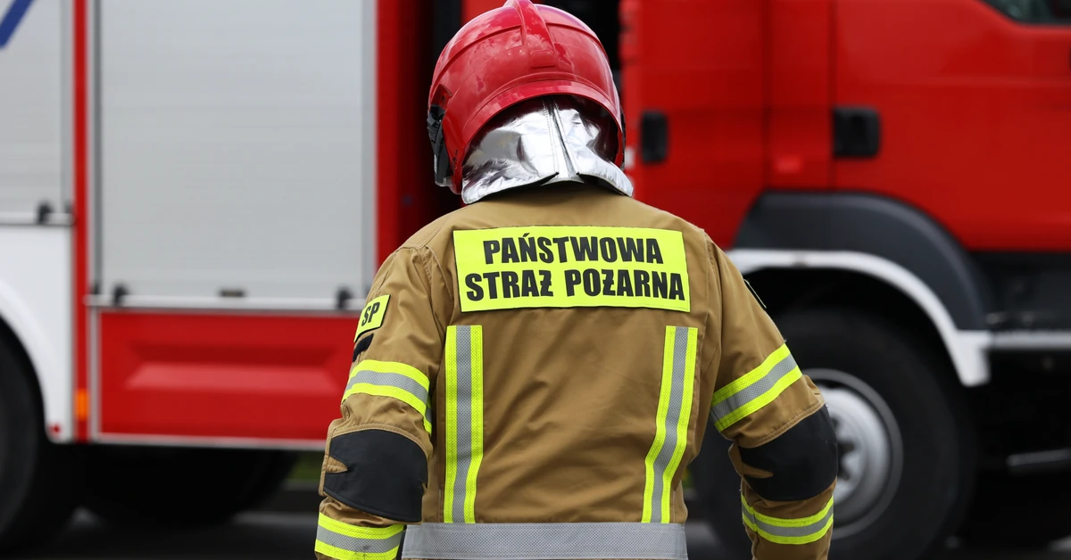 Potężny pożar w Czeladzi. Hala stanęła w ogniu, dym widać z sąsiednich miast