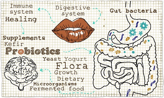 El kéfir tiene importantes beneficios para la salud.  Su textura y sabor varían mucho en todo el mundo según la región y la marca.  Así que si pruebas uno y no te gusta, no te rindas, prueba con otra marca o haz el tuyo propio.