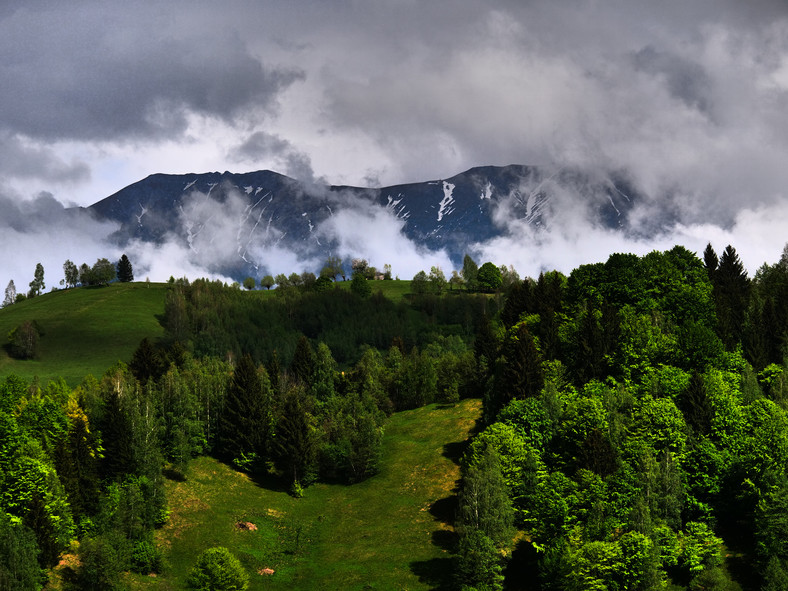 #Transylwania2017