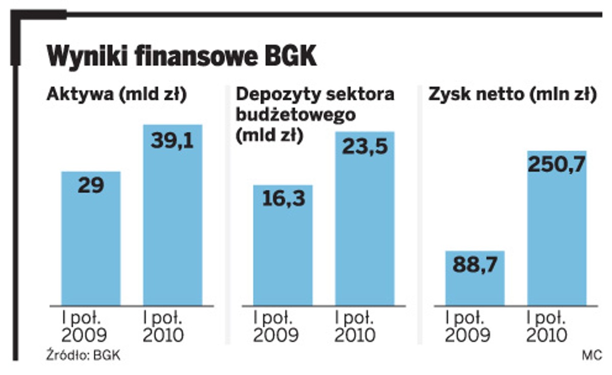 Wyniki finansowe BGK